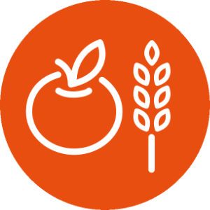 Beratung-Icon-1